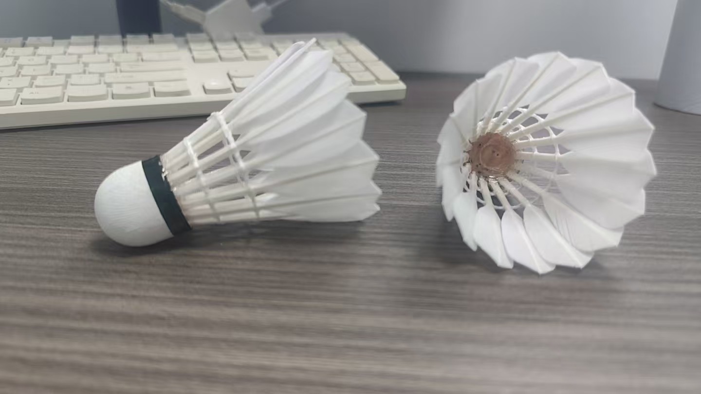 镝屿鹅刀翎 2级羽毛球