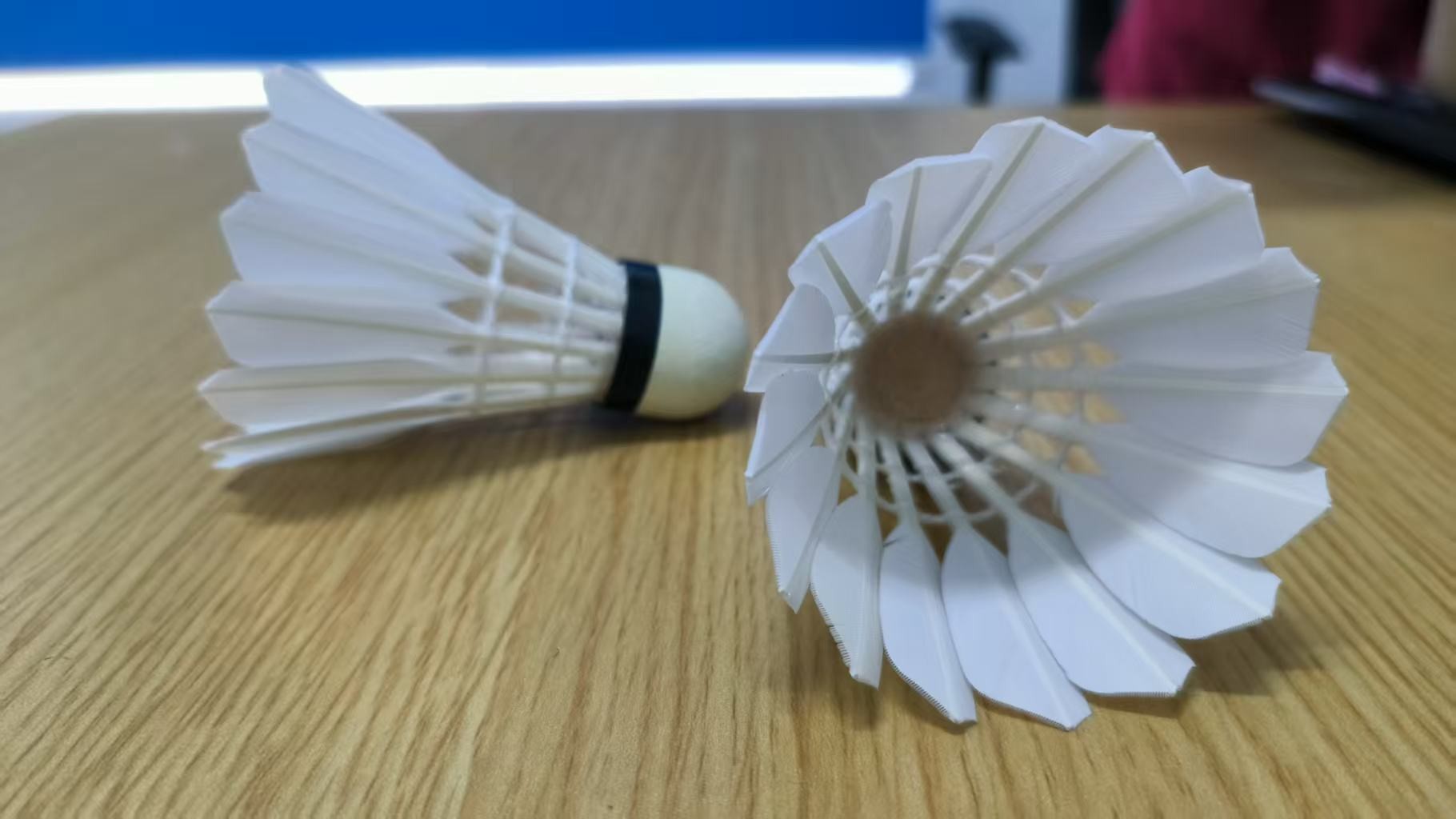鹚鸪鸭中方1级 产品图